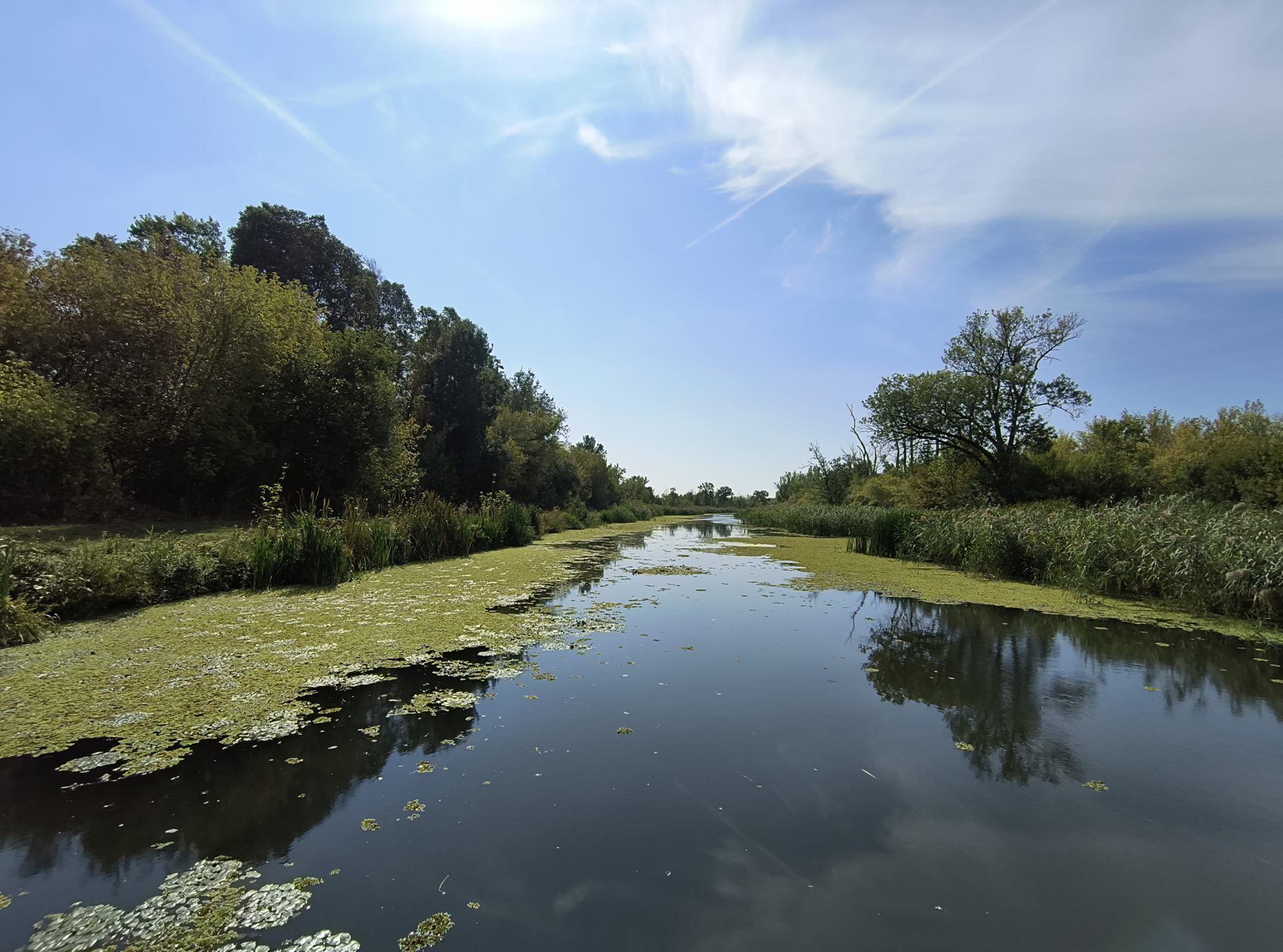 Carska bara Zaštita prirode i digitalni alati