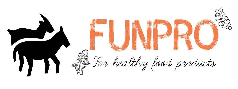 FUNPRO logo