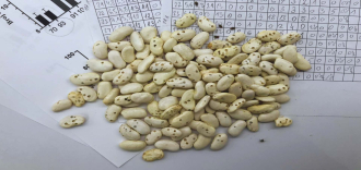 Еволуција особина животне историје