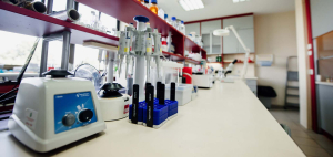 Molecular Biology