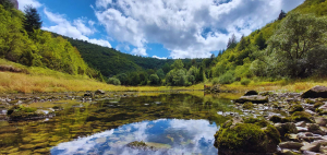 Funkcionalna ekologija