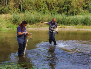 Support to Implementation and Monitoring of Water Management, Montenegro, 2023-2024