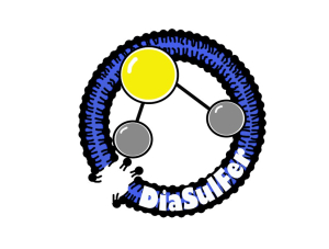 DiaSulFer - Targeting Ferroptosis in diabetes and diabetic complications by hydrogen (per)sulfide, 2024-2027