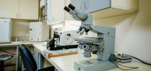 Cytology