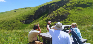 Terestrična ekologija