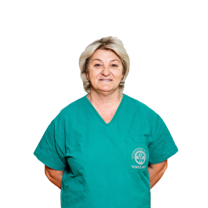 Dragana Đorđević