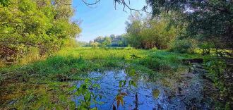 Акватична екологија